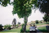 2007 Tournament: Image