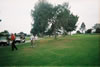2007 Tournament: Image