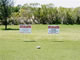 2006 Tournament: Image