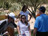 2008 Tournament: Image
