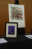 Himelic 2013 (10 )
